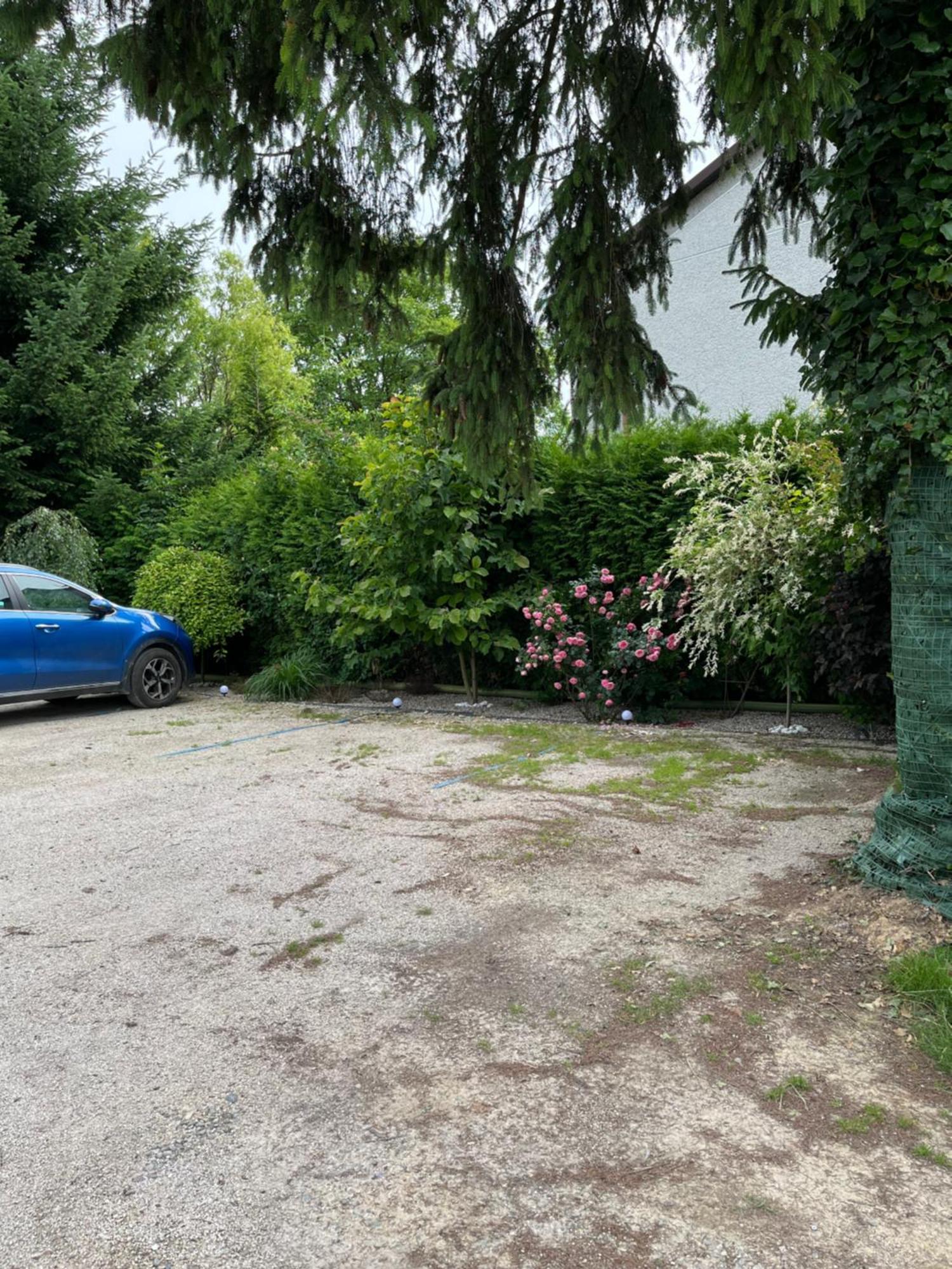 Apartament Ogrodowy Daire Miechów Dış mekan fotoğraf